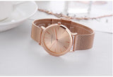 Elegant Simple Design Classic Women Rose Gold Colour Stainless Steel Mesh Casual Waterproof Ladies Quartz Watches