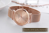 Elegant Simple Design Classic Women Rose Gold Colour Stainless Steel Mesh Casual Waterproof Ladies Quartz Watches