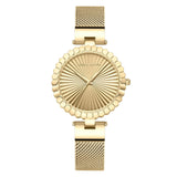 Luxury Dial Quartz Movement Stainless Steel Mesh Strap Fashion New Womens Watch Elegant Original Women Watches