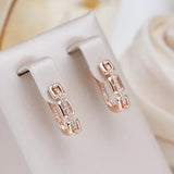 Charming Personality Chain Design Inlay with AAA White Zircon Diamonds 14K Rolled Rose Gold Earrings for Women