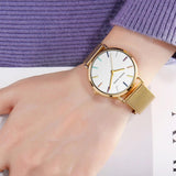 Elegant Luxury Brand Fashion Rosegold Colour Stainless Steel Mesh Strap Japanese Quartz Movement Ladies Watches