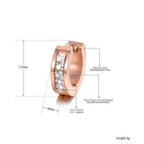 BEST SELLER AAA+ Cubic Zirconia Diamonds Stainless Steel Rose Gold Hoop Earrings - The Jewellery Supermarket