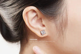 High Quality Lovely AAA Cubic Zirconia Diamonds Rose Gold Colour Earrings - The Jewellery Supermarket