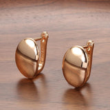 Hot Fashion Glossy Rose Gold Simple Oval High Quality Earrings - The Jewellery Supermarket