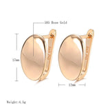 Hot Fashion Glossy Rose Gold Simple Oval High Quality Earrings - The Jewellery Supermarket