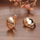 Hot Fashion Glossy Rose Gold Simple Oval High Quality Earrings - The Jewellery Supermarket