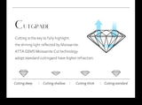 1 Carat Round Brilliant Cut D Color High Quality Moissanite Diamonds Necklace - Luxury Gemstone Necklace - The Jewellery Supermarket