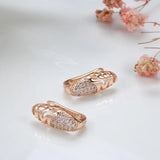 Amazing New Fashion 14K Filled Rose Gold Micro Wax Inlay AAA Zircon Diamonds Earrings - Vintage Style Jewellery