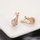 14K Rolled Gold New Circle Hollow Snowflake Inlay AAA Zircon Diamonds Hoop Earrings