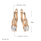 Awesome Filled 14K Rose Gold Personality Hollow Design AAA White Zircon Diamonds Earrings - Party  Jewellery