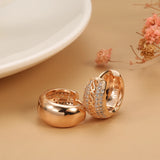 14K Filled Gold Gold Micro AAA Zircon Diamonds Middle Vintage Hoop Fashion Earrings