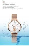 Elegant Simple Fashion Rose Gold Colour Case Ladie's Watch Blue Stainless Steel Mesh Belt Quartz Waterproof Watches