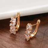 14K Rolled Gold Shiny Claw AAA Zircon Diamonds Golden Hoops Luxury Earrings Fine Jewellery