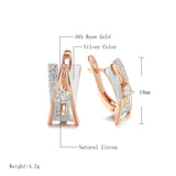 14K Gold Filled AAA Zircon Diamonds Rose White Gold Colour Design A&W Letter Earrings