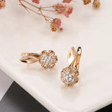 14K Rolled Gold New Circle Hollow Snowflake Inlay AAA Zircon Diamonds Hoop Earrings