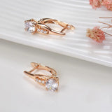 Awesome Filled 14K Rose Gold Personality Hollow Design AAA White Zircon Diamonds Earrings - Party  Jewellery