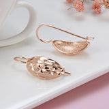 14K Filled Gold Moon Carve Irregular Pattern Piercing Sequins Hoops Fashion Earrings