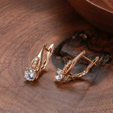 Awesome Filled 14K Rose Gold Personality Hollow Design AAA White Zircon Diamonds Earrings - Party  Jewellery