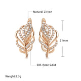 14K Gold Filled New AAA White Zircon Diamonds Golden Hollow Plump Personality Earrings