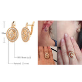 14K Rolled Gold Vintage AAA Zircon Diamonds Luxury Oval Geometric Drop Classic Earrings