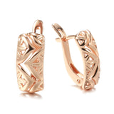 14K Rolled Gold AAA Zircon Diamonds Heart & Arrow Fashion Glossy Loops Wave Earrings