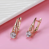 Awesome Filled 14K Rose Gold Personality Hollow Design AAA White Zircon Diamonds Earrings - Party  Jewellery