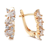 14K Rolled Gold Shiny Claw AAA Zircon Diamonds Golden Hoops Luxury Earrings Fine Jewellery