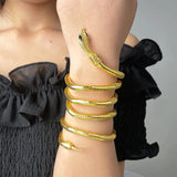 Bendable Personality Snake Bracelet For Women - Creative Choker Fashion Medusa Fashion Necklace