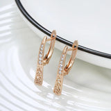 Exquisite 14K Filled Rose Gold AAA Zircon Diamonds Drop Earrings For Women - Fashion Creative Design Fine Jewellery