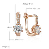 14 Karat Gold Filled Shiny AAA  Zircon High Quality Bridal Wedding Fine Jewellery Earrings