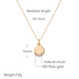 Excellent 14K Filled Rose Gold Round Coin Pendant AAA Zircon Diamonds Necklaces for Women - Glossy Fine Jewellery