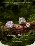 Fabulous 0.5-3CT Moissanite Diamonds Sterling Silver Stud Earrings for Women Men