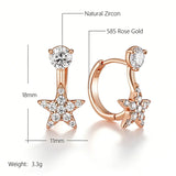 14 Karat Filled Gold Full Shiny AAA Zircon Diamonds Star Design Drop Earrings