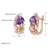 Fabulous 14K Filled Rose Gold Purple AAA Zircon Crystals Drop Earrings For Women Trendy Jewellery