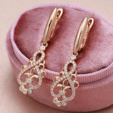 Luxury Natural Zircon 14K Rose Gold Filled Long Dangle Fashion Earrings - High Quality Jewellery