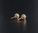 GRA Moissanite Diamonds Studs Silver Earrings Pass Diamond Tester Pen For Men Women