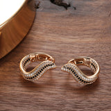 14K Rolled Gold  Luxury Geometric Black White AAA Zircon Diamonds Women's Drop Earrings