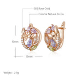 14 Karat Gold Filled Fashion Colourful AAA Zircon Crystals Butterfly Earrings for Women