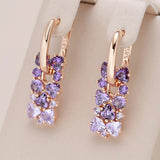 14K Gold Filled Pink Red Green Blue Purple AAA Zircon Crystals Earrings Fine Jewellery