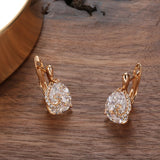 14K Gold Filled Waterdrop Cut AAA Zircon Diamonds Luxury Earrings Elegant Jewellery