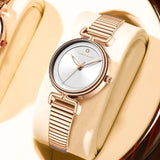 Leisure Fashion New Women's Watch Top Brand Mini Dial Stainless Steel Mesh Strap Nordic 3Bar Waterproof Watches