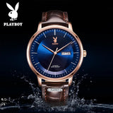 Top Brand Luxury Mechanical Watch for Men - Grey Dial Stainless Steel Waterproof Date Week Automatic WristWatches