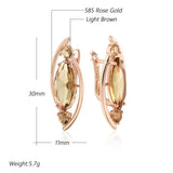 14 Karat Rolled Gold Fashion Red Brown Zircon Crystal Rhombus Long Earrings