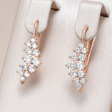 14K Rolled Gold Shiny Grapes Design AAA Zircon Diamonds Geometry Drop Earrings For Women