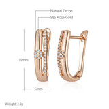 14 Karat Fashion AAA Zircon Diamonds Geometry Hoop High Quality Daily Jewellery Earrings