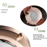 New Arrival Top Brand Luxury Elegant Quartz Movement Brown Leather White Dial Ladies Waterproof Watches