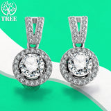 Charming Sparkling 0.5ct D Colour Moissanite Diamond Earrings - 100% 925 Sterling Sliver Drop Earring for Women