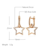 14K Gold Filled Fashion Glossy Paved AAA Zircon Diamonds Star Dangle Earrings For Women