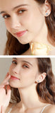 GRA Moissanite Diamonds Studs Silver Earrings Pass Diamond Tester Pen For Men Women