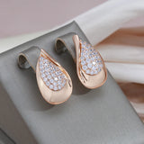 14K Gold Filled AAA Zircon Diamonds Full Paved Drop Big Size Glossy Earrings For Women